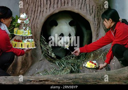 (151128) -- FUZHOU,2015 -- une photo prise le 18 décembre 2005 montre un panda géant Basi mangeant un gâteau au centre de recherche et d'échange de panda à Fuzhou, capitale de la province du Fujian du sud-est de la Chine, pour célébrer son 25e anniversaire. Basi a célébré son 35e anniversaire le 28 novembre 2015, ce qui équivaut à peu près à 130 ans d’âge humain. Basi est actuellement le plus vieux panda vivant à ce jour dans le monde. Basi en 1987, visite le zoo de San Diego aux États-Unis pour des spectacles. Elle attire environ 2,5 millions de visiteurs au cours de son séjour de six mois aux États-Unis et émerveille de nombreux visiteurs par ses performances acrobatiques. En 1990, SH Banque D'Images