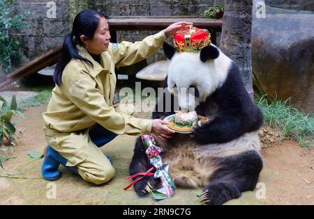 (151128) -- FUZHOU,2015 -- Giant panda Basi eats a cake at the panda research and exchange center in Fuzhou, capital of southeast China s Fujian Province, Nov. 28, 2015, to celebrate her 35th birthday. Basi, currently one of the oldest living panda in the world, turns 35 on Saturday, which roughly equals 130 years in human age. Basi in 1987 visited the U.S. San Diego Zoo for shows. She attracted around 2.5 million visitors during her six-month stay in the United States and amazed many visitors by her acrobatic performances. In 1990, she was chosen as the prototype for Pan Pan, the mascot for t Stock Photo