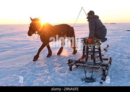 (160109) -- SONGYUAN, Jan. 8, 2016 -- A fisherman whips up a horse to draw a winch so as to pull fishing net out of water on the Chagan Lake in Songyuan City, northeast China s Jilin Province, Jan. 8, 2016. Chagan Lake, which is known for traditional winter fishing that dates back to prehistorical times, is the only place that saves the oldest Mongolian fishing method. During the annual Winter Fishing Festival which is held to remember the old winter fishing tradition, fishermen first drill many holes through the thick ice and then place a net under the ice. The net will finally pulled out by Stock Photo