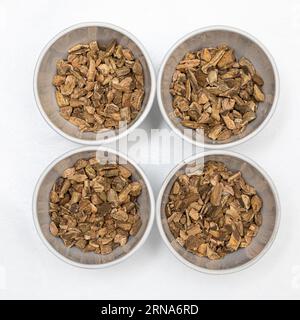 Dried chinese rhubarb samples, extract and dry medicinal drug of rheum officinale isolated on white background. Piles set up for product quality contr Stock Photo