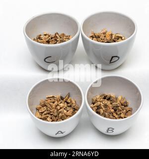 Extrait sec à base de plantes d'orange amère, Citrus × aurantium isolé sur fond noir. Contrôle de qualité en laboratoire de biologie pharmaceutique Banque D'Images