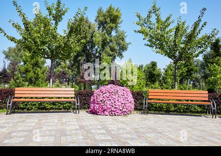 Aire de repos avec banc entouré de fleurs de pétunia en fleurs à Kiev, Europe. Place pour se reposer dans le parc de la ville Banque D'Images