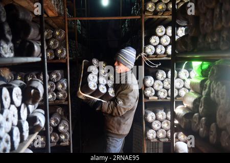 (160122) -- CHENGDE, 22 janvier 2016 -- Un agriculteur place les champignons dans la serre de la ville de Zhangjiying, comté de Longhua, ville de Chengde, province du Hebei, dans le nord de la Chine, le 22 janvier 2016. Le comté de Longhua avait pris des mesures pour développer l ' agriculture et accroître les revenus des agriculteurs ces dernières années. (msq) CHINA-CHENGDE-AGRICULTURAL PRODUCTION (CN) JinxLiangkuai PUBLICATIONxNOTxINxCHN 160122 Chengde Jan 22 2016 un agriculteur place les champignons dans la serre dans la ville de Longhua County Chengde North China S Hebei province LE 22 2016 janvier LE comté de Longhua avait pris des mesures pour développer l'agriculture et augmenter le farme Banque D'Images