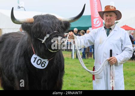 Weedon Park, Aylesbury, Buckinghamshire. ROYAUME-UNI. 31 août 2023 Un exposant de bétail attend d'aller dans le ring d'exposition au 154e Bucks County Show. Crédit photo : Tim Scrivener/Alamy Live News Banque D'Images