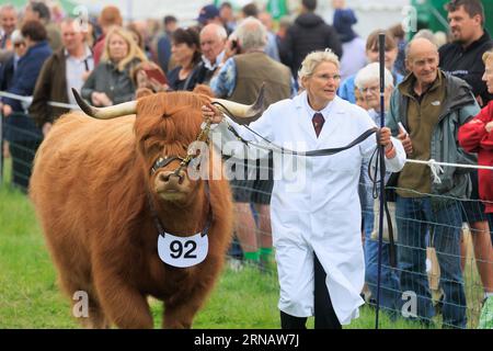 Weedon Park, Aylesbury, Buckinghamshire. ROYAUME-UNI. 31 août 2023 Un exposant de bétail montrant une vache Highland au 154e Bucks County Show. Crédit photo : Tim Scrivener/Alamy Live News Banque D'Images