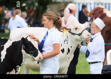 Weedon Park, Aylesbury, Buckinghamshire. ROYAUME-UNI. 31 août 2023 Un jeune exposant de bétail montrant un Holstein au 154e Bucks County Show. Crédit photo : Tim Scrivener/Alamy Live News Banque D'Images