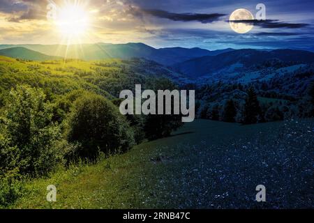 paysage de montagne en été avec soleil et lune au crépuscule. sapins près de prairie sur la colline. concept de changement de jour et de nuit. des pays magiques Banque D'Images