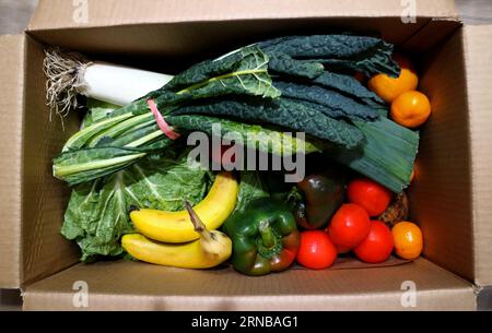 Boîte en carton pleine de délicieux légumes et fruits biologiques Banque D'Images