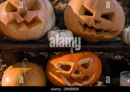 Tête de citrouille d'Halloween avec visage souriant sculpté et effrayant sur banc de bois à l'extérieur. Jack-O-Lantern, bougies allumées, feuilles séchées à l'extérieur. Halloween Composi Banque D'Images