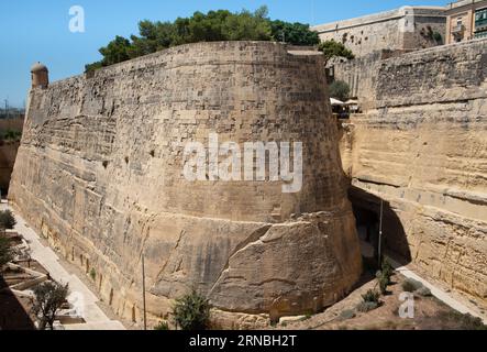 Une partie des fortifications historiques de Malte. Des murs de pierre épais protègent la vieille ville de la Valette. Les arbres poussent sur le mur. Le ciel est bleu. Banque D'Images