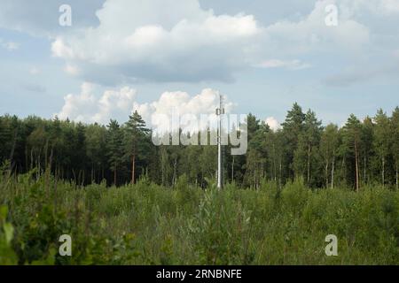 Cloud over forest. Natural scenery in summer. Field and forest. Banque D'Images