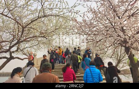 (160319) -- PÉKIN, le 19 mars 2016 -- les visiteurs apprécient le paysage du Palais d'été de Pékin, capitale de la Chine, le 19 mars 2016. Les fleurs de pêche et les fleurs de magnolia ont été en pleine floraison à mesure que la température augmente, attirant beaucoup de gens pour visiter.) (mp) CHINA-BEIJING-SUMMER PALACE (CN) LixXin PUBLICATIONxNOTxINxCHN Beijing Mars 19 2016 les visiteurs apprécient le paysage du Palais d'été à Beijing capitale de la Chine Mars 19 2016 les fleurs de pêche et de magnolia ont été en pleine floraison alors que la température monte attirant beaucoup de célébrités pour visiter MP China Beijing Summer Palace CN LixXin P Banque D'Images