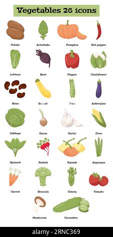 Icônes de légumes Set 26 types de liste de légumes colorés avec des noms. Peut être utilisé pour les catégories de supermarchés, pour l'apprentissage. Illustration de Vecteur