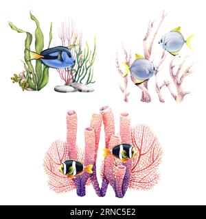 Un ensemble de compositions sous-marines de récifs coralliens avec des coraux et des poissons. Illustrations à l'aquarelle pour emballages d'étiquettes clip art Banque D'Images