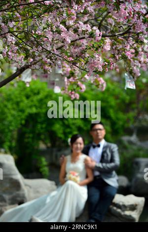 (160330) -- PÉKIN, 30 mars 2016 -- Un couple pose pour des photos de mariage au parc Wulongtan de Jinan, dans la province du Shandong de l'est de la Chine, le 30 mars 2016. Les fleurs de crabe au Baotu Spring Park et au Wulongtan Park sont entrées dans la saison des fleurs. )(mcg) CHINA-JINAN-CRABAPPLE FLEURS (CN) GuoxXulei PUBLICATIONxNOTxINxCHN Beijing Mars 30 2016 une pose de COUPLE pour des photos de mariage AU parc de Wulongtan de Jinan Chine orientale S Shan Dong Mars 30 2016 fleurs de crabaple À Baotu Spring Park et Wulongtan Park sont entrés dans la saison des fleurs de crabapple CN de la Chine Jinan GuoxXulei PUBLICATIONxNOTxINx Banque D'Images