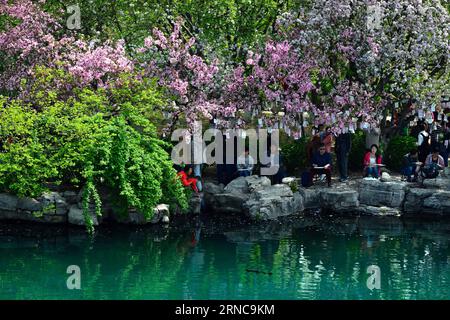 (160330) -- PÉKIN, 30 mars 2016 -- les touristes puisent dans la nature sous les pommeaux dans le parc Wulongtan de Jinan, dans la province du Shandong de l est de la Chine, le 30 mars 2016. Les fleurs de crabe au Baotu Spring Park et au Wulongtan Park sont entrées dans la saison des fleurs. )(mcg) CHINA-JINAN-CRABAPPLE FLEURS (CN) GuoxXulei PUBLICATIONxNOTxINxCHN Beijing Mars 30 2016 les touristes tirent de la nature sous les crabolaires dans le parc de Wulongtan de Jinan East China S Shan Dong province Mars 30 2016 fleurs de crabolaire À Baotu Spring Park et Wulongtan Park sont entrés dans la saison de fleurs de crabolaire Jinan Chine CN Banque D'Images