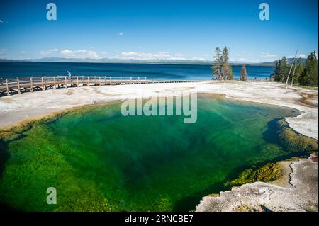 Black Pool Thermal se trouve près du bord du lac Yellowstone en été Banque D'Images