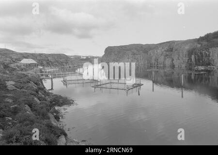 Current 45-1-1973 : les éclaboussures de poissons de luxe hereGrand intérêt est lié à l'élevage du saumon et de l'aure. Rien que cette année, nous avons gagné une centaine de nouveaux éleveurs le long de la côte. Mais la pisciculture n'est pas une mine d'or. La nouvelle industrie est confrontée à des temps difficiles. Les dépenses, en particulier pour les aliments pour animaux et les poissons d'écloserie, ont fortement augmenté au cours de l'année écoulée. La crainte la plus pessimiste que les conditions des années 1950 affecteront l'industrie. À cette époque, presque tout ce qui avait été lancé par les fermes piscicoles est allé à la maison. La ferme piscicole d'Andreas Blom dans le jardin de l'île près de Bergen est idéalement situé dans Banque D'Images