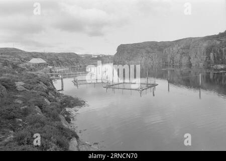 Current 45-1-1973 : les éclaboussures de poissons de luxe hereGrand intérêt est lié à l'élevage du saumon et de l'aure. Rien que cette année, nous avons gagné une centaine de nouveaux éleveurs le long de la côte. Mais la pisciculture n'est pas une mine d'or. La nouvelle industrie est confrontée à des temps difficiles. Les dépenses, en particulier pour les aliments pour animaux et les poissons d'écloserie, ont fortement augmenté au cours de l'année écoulée. La crainte la plus pessimiste que les conditions des années 1950 affecteront l'industrie. À cette époque, presque tout ce qui avait été lancé par les fermes piscicoles est allé à la maison. Photo : Svein Kløvig / Aktuell / NTB ***PHOTO NON TRAITÉE*** ce texte ha Banque D'Images