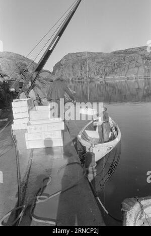 Current 45-1-1973 : les éclaboussures de poissons de luxe hereGrand intérêt est lié à l'élevage du saumon et de l'aure. Rien que cette année, nous avons gagné une centaine de nouveaux éleveurs le long de la côte. Mais la pisciculture n'est pas une mine d'or. La nouvelle industrie est confrontée à des temps difficiles. Les dépenses, en particulier pour les aliments pour animaux et les poissons d'écloserie, ont fortement augmenté au cours de l'année écoulée. La crainte la plus pessimiste que les conditions des années 1950 affecteront l'industrie. À cette époque, presque tout ce qui avait été lancé par les fermes piscicoles est allé à la maison. Photo : Svein Kløvig / Aktuell / NTB ***PHOTO NON TRAITÉE*** ce texte ha Banque D'Images