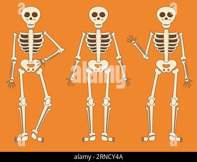 Squelettes mignons dans différentes poses pour Halloween Illustration de Vecteur