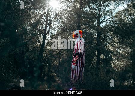 un clown roux fou, dans un costume rayé blanc et rouge avec un ruff blanc, marche près des bois et regarde en arrière à l'observateur avec un s effrayant Banque D'Images