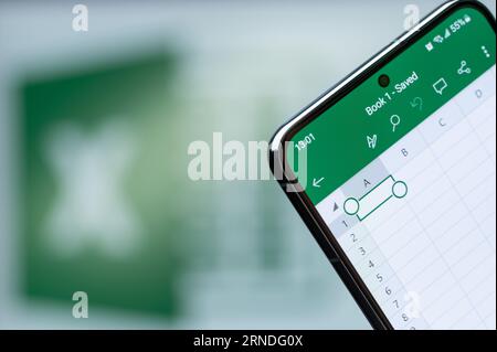 New York, États-Unis - 20 août 2023 : en-tête de l'application mobile Microsoft Excel sur la macro d'écran de smartphone avec fond de logo flou Banque D'Images