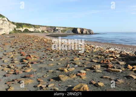 Rochers colorés sur la plage de Blast avec vue sur Noses point, Durham Heritage Coast, Seaham, County Durham, UK Banque D'Images