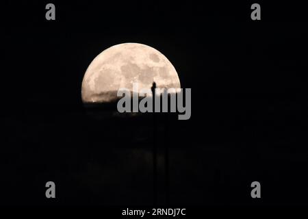 Renhuai, Chine. 30 août 2023. RENHUAI, CHINE - 30 AOÛT 2023 - la photo prise le 30 août 2023 montre la ''supermoonn'' dans la ville de Renhuai, dans la province du Guizhou, dans le sud-ouest de la Chine. (Photo Costfoto/NurPhoto) crédit : NurPhoto SRL/Alamy Live News Banque D'Images