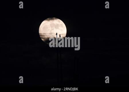 Renhuai, Chine. 30 août 2023. RENHUAI, CHINE - 30 AOÛT 2023 - la photo prise le 30 août 2023 montre la ''supermoonn'' dans la ville de Renhuai, dans la province du Guizhou, dans le sud-ouest de la Chine. (Photo Costfoto/NurPhoto) crédit : NurPhoto SRL/Alamy Live News Banque D'Images