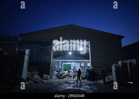 (160602) -- YINCHUAN, June 2, 2016 -- Kids play in front of a cold storage in the evening in the Guinan Village Vegetable Base in Changxin Town of Helan County, northwest China s Ningxia Hui Autonomous Region, May 31, 2016. In recent years, Ningxia has constructed 24 vegetable bases supplying vegetables for Hong Kong. Presently, those bases supply Chinese kale, Guangdong cabbage and some other varieties, which meet people s tastes in south China. The vegetables are transported with cold chain from Ningxia to Hong Kong, to keep their freshness. The vegetable bases provided nearly 20,000 jobs fo Stock Photo