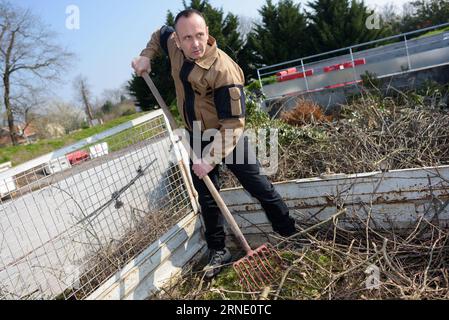 man raking leaves in the garden Stock Photo