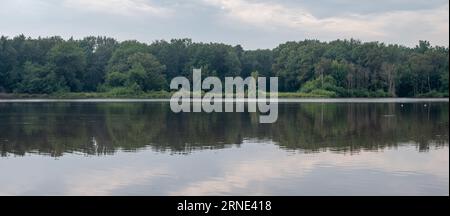 Arbres reflétant dans l'eau tranquille, Velden, Limbourg, pays-Bas Banque D'Images