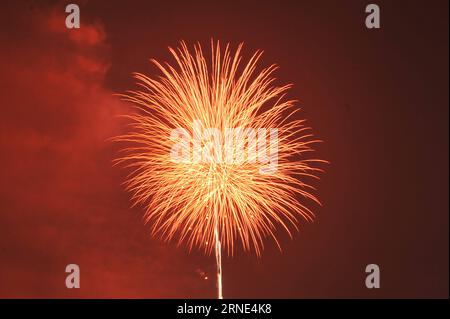 ZIGUI, le 8 juin 2016 -- la photo prise le 8 juin 2016 montre des feux d'artifice explosant sur le ciel dans le comté de Zigui, dans la province du Hubei en Chine centrale. Zigui est la ville natale de Qu Yuan, un poète patriotique qui s'est noyé avant que son État ne tombe sous l'invasion de l'ennemi pendant la période des États combattants (475-221 av. J.-C.). Un concert de feux d'artifice a eu lieu ici pour le commémorer mercredi avant le Festival de Duanwu qui tombe le 9 juin de cette année. (Zwx) CHINA-HUBEI-QU YUAN-HOMETOWN-FIREWORK CONCERT(CN) WangxHuifu PUBLICATIONxNOTxINxCHN Zigui juin 8 2016 la photo prise LE 8 2016 juin montre des feux d'artifice explosant SUR le Banque D'Images