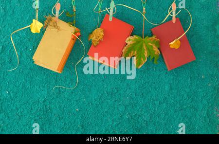 Lecture et détente en automne et en automne avec des livres et des feuilles d'automne.Foire du livre d'automne, inspiration, lecture, éducation, concept de littérature, espace de copie Banque D'Images