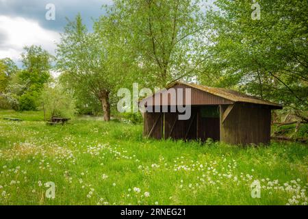 Beauté rustique captivante - une vieille maison en bois Lodge au milieu d'un paysage vert tranquille, évoquant la nostalgie et la sérénité Banque D'Images