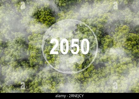 Net zéro d'ici 2050. Carbone neutre sur vue de dessus de la nature. Objectif net zéro émission de gaz à effet de serre. Stratégie à long terme neutre pour le climat. Banque D'Images