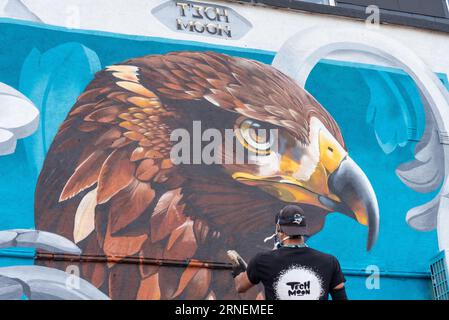 Southend on Sea, Essex, Royaume-Uni. 1 septembre 2023. Présenté comme le plus grand festival d'art de rue d'Europe, Southend continue de célébrer son nouveau statut de ville avec l'événement City Jam. Plus de 200 artistes de rue locaux, nationaux et internationaux exposent leurs compétences dans 100 endroits du centre-ville. Quelques murs temporaires ont été érigés, mais les artistes décorent également les côtés des bâtiments et autres structures permanentes. Du premier au troisième septembre, les artistes ont commencé à travailler sur les peintures murales autour des rues et des propriétés. Artiste de Tech Moon peignant aigle Banque D'Images