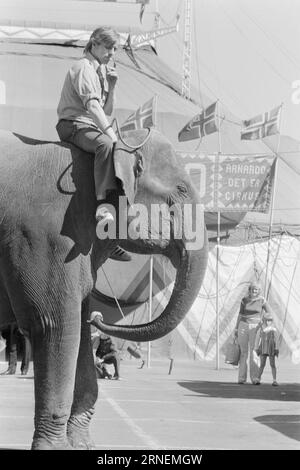 Actual 22 - 4 - 1974 : Junior chez LineElephant tamer Arild Arnardo - maintenant aussi comme clown. Il a repris le numéro de la célèbre Linon avec beaucoup de talent. Photo : Ivar Aaserud / Aktuell / NTB ***PHOTO NON TRAITÉE*** ce texte a été traduit automatiquement! Banque D'Images