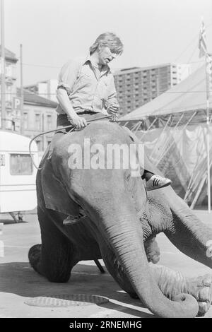 Actual 22 - 4 - 1974 : Junior chez LineElephant tamer Arild Arnardo - maintenant aussi comme clown. Il a repris le numéro de la célèbre Linon avec beaucoup de talent. Photo : Ivar Aaserud / Aktuell / NTB ***PHOTO NON TRAITÉE*** ce texte a été traduit automatiquement! Banque D'Images
