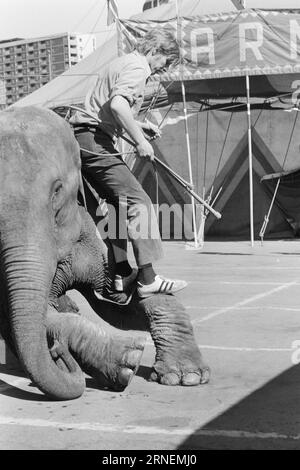 Actual 22 - 4 - 1974 : Junior chez LineElephant tamer Arild Arnardo - maintenant aussi comme clown. Il a repris le numéro de la célèbre Linon avec beaucoup de talent. Photo : Ivar Aaserud / Aktuell / NTB ***PHOTO NON TRAITÉE*** ce texte a été traduit automatiquement! Banque D'Images