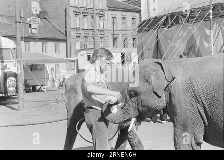 Actual 22 - 4 - 1974 : Junior chez LineElephant tamer Arild Arnardo - maintenant aussi comme clown. Il a repris le numéro de la célèbre Linon avec beaucoup de talent. Photo : Ivar Aaserud / Aktuell / NTB ***PHOTO NON TRAITÉE*** ce texte a été traduit automatiquement! Banque D'Images