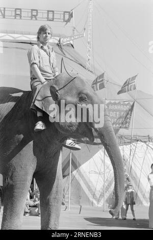 Actual 22 - 4 - 1974 : Junior chez LineElephant tamer Arild Arnardo - maintenant aussi comme clown. Il a repris le numéro de la célèbre Linon avec beaucoup de talent. Photo : Ivar Aaserud / Aktuell / NTB ***PHOTO NON TRAITÉE*** ce texte a été traduit automatiquement! Banque D'Images