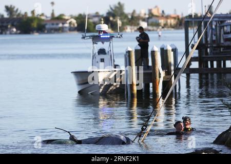 July 14, 2016 - St. Pete Beach, Florida, U.S. - Times. A Mercedes Benz vehicle is pulled from the inter coastal waterway in St. Pete Beach, Thursday, 7/14/16 as the Pinellas County Sheriff s office divers worked the scene. The driver escaped from the vehicle. (Credit Image: © /Tampa Bay Times via ZUMA Wire) Florida News - July 14, 2016 ScottxKeeler PUBLICATIONxNOTxINxCHN ZUMA-20160714 zan s70 006.jpg   July 14 2016 St Pete Beach Florida U S Times a Mercedes Benz Vehicle IS pulled from The Inter Coastal Waterway in St Pete Beach Thursday 7 14 16 As The Pinellas County Sheriff S Office Divers Wo Stock Photo