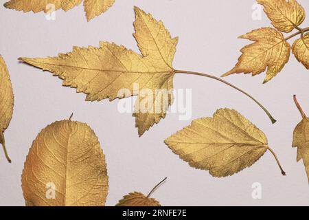 Collection de différentes feuilles dorées. Banque D'Images