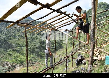 (160823) -- DAHUA, 23 août 2016 -- LAN Zhiping (L) aide LAN Wangming à réparer un poulailler dans le village de Nongxiong, comté autonome de Dahua Yao, région autonome de Guangxi Zhuang, sud de la Chine, 16 août 2016. Le village de Nongxiong, situé dans les zones montagneuses du Guangxi, compte 123 familles vivant sous le niveau de pauvreté parmi ses près de 2000 villageois. LAN Zhiping, 28 ans, a trouvé un moyen de sortir les villageois de la pauvreté grâce à l’élevage de poulets. Cette année, il a créé une coopérative d’élevage de volailles avec quatre autres villageois, dans laquelle plus de 2 300 poulets sont élevés. Un bas à éclosion Banque D'Images