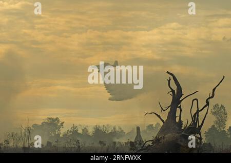 (160826) -- RIAU, 26 août 2016 -- Un avion largue de l'eau pour éteindre un incendie à Kampar, Riau, Indonésie, le 25 août 2016. Les incendies de forêt et de plantation sur l'île indonésienne de Sumatra au début de la saison sèche ont incité la province touchée à déclarer une situation d'urgence, a déclaré un responsable. (hy) INDONESIA-RIAU-FOREST FIRE AfrianthoxSilalahi PUBLICATIONxNOTxINxCHN 160826 Riau août 26 2016 un avion jette de l'eau dans un extincteur incendie à Kampar Riau Indonésie août 25 2016 des incendies de forêts et de plantations EN Indonésie S Sumatra Islande AU début de la saison sèche ont incité la province touchée à DÉCLARER ÉMERGER Banque D'Images