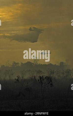(160826) -- RIAU, 26 août 2016 -- Un avion largue de l'eau pour éteindre un incendie à Kampar, Riau, Indonésie, le 25 août 2016. Les incendies de forêt et de plantation sur l'île indonésienne de Sumatra au début de la saison sèche ont incité la province touchée à déclarer une situation d'urgence, a déclaré un responsable. (hy) INDONESIA-RIAU-FOREST FIRE AfrianthoxSilalahi PUBLICATIONxNOTxINxCHN 160826 Riau août 26 2016 un avion jette de l'eau dans un extincteur incendie à Kampar Riau Indonésie août 25 2016 des incendies de forêts et de plantations EN Indonésie S Sumatra Islande AU début de la saison sèche ont incité la province touchée à DÉCLARER ÉMERGER Banque D'Images