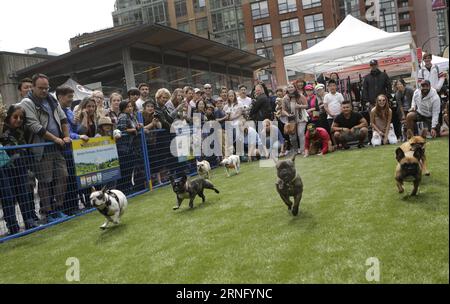 (160829) -- VANCOUVER, le 29 août 2016 -- les foules assistent à la course de chiens au festival PET-A-Palooza qui s'est tenu à Vancouver, Canada, le 28 août 2016. Environ 20 000 personnes participent à l'événement annuel PET-A-Palooza. Cet événement d'une journée permet à tous les amoureux des animaux de partager la joie et l'expérience avec leurs animaux de compagnie à travers diverses activités. (lrz) CANADA-VANCOUVER-PETS FESTIVAL Liangxsen PUBLICATIONxNOTxINxCHN 160829 Vancouver août 29 2016 les foules assistent à la course de chiens AU PET a Palooza Festival Hero à Vancouver Canada août 28 2016 environ 20 000 célébrités participent à l'événement annuel PET a Palooza Banque D'Images