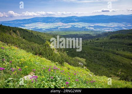 Vue sur le paysage depuis les montagnes Tatras en Slovaquie Banque D'Images